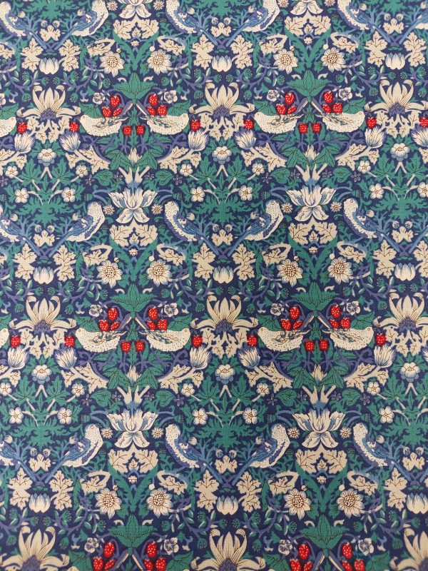 Cotton poplin prints/ birds BG