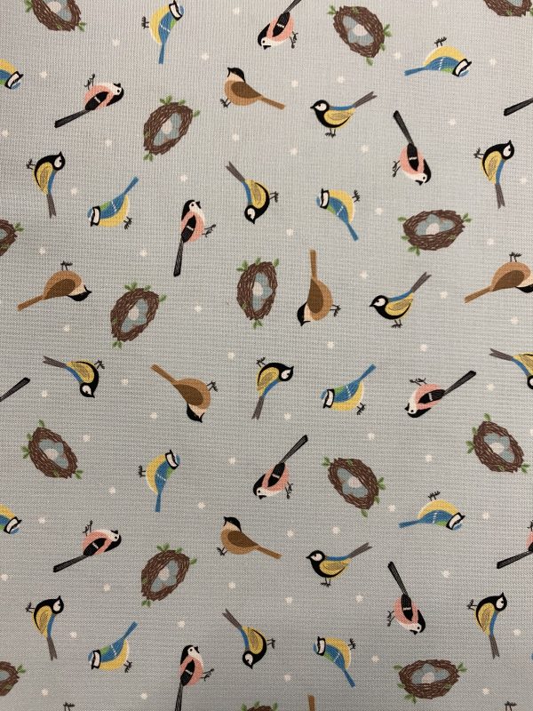 County Garden- Birds and nests